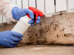 Best Water Damage & Mold Remediation in Battlefield, MO